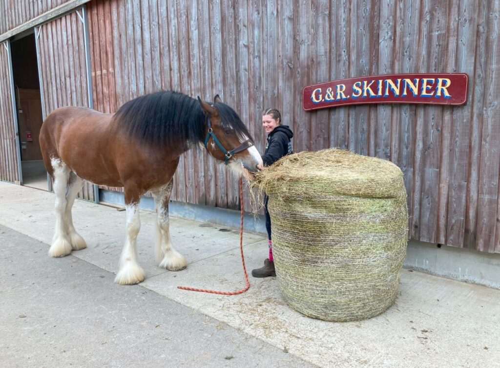 Haylage Vs. Hay: Which Is Better For Horses? | Strathorn Farm Stables