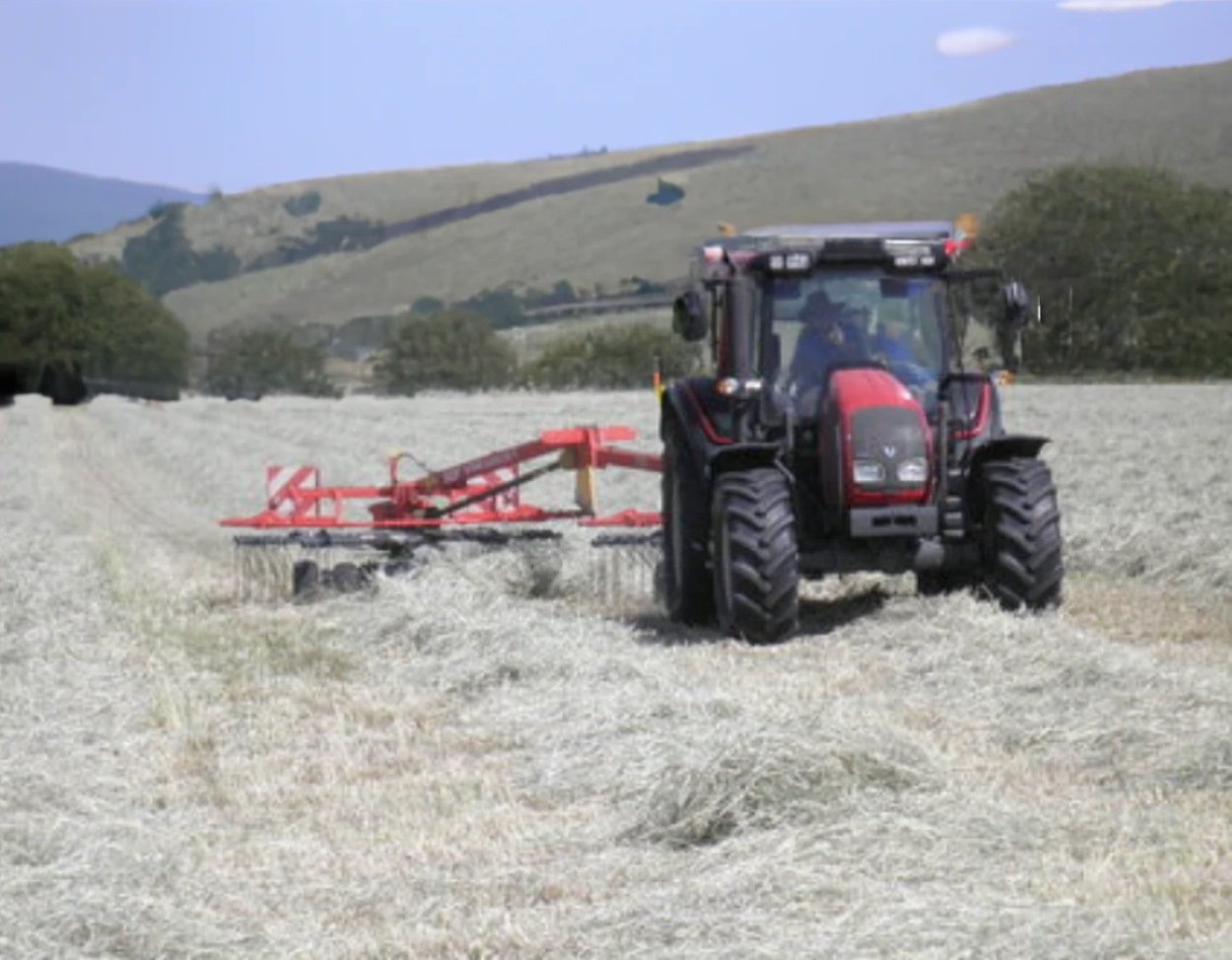 Haylage Vs. Hay: Which Is Better For Horses? | Strathorn Farm Stables