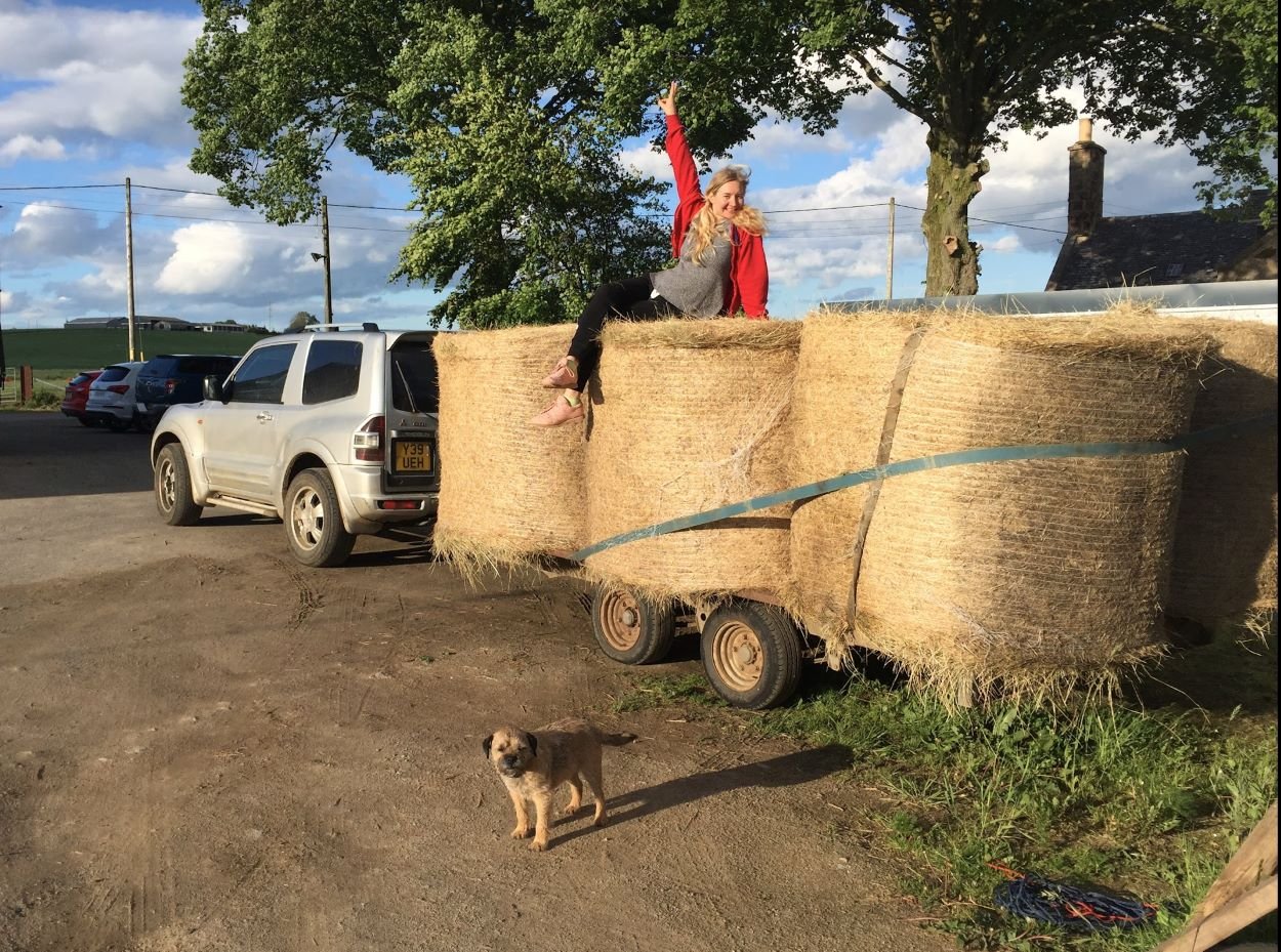 Haylage Vs. Hay: Which Is Better For Horses? | Strathorn Farm Stables