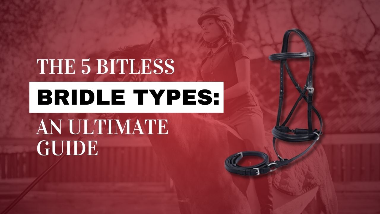 ULTIMATE BITLESS BRIDLE