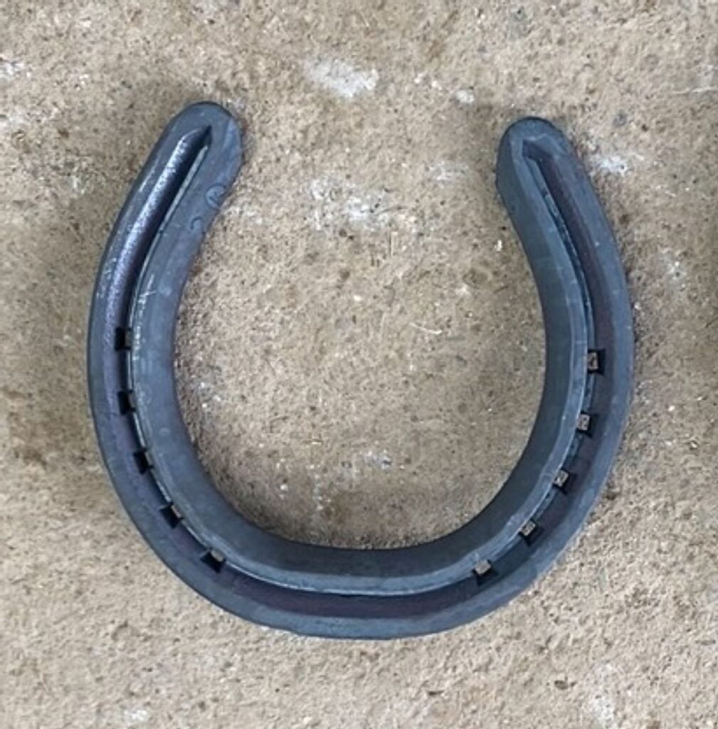 The Different Types Of Horseshoes | Strathorn Farm Stables