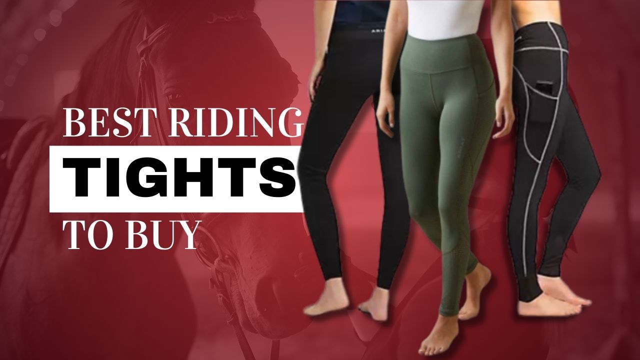 Womens Slim Fit Horse Riding Ladies Fleece Lined Leggings For